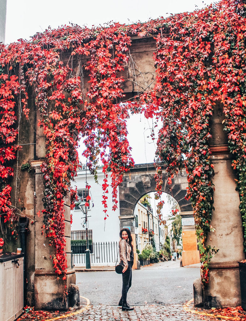 kynance mews at autumn in london