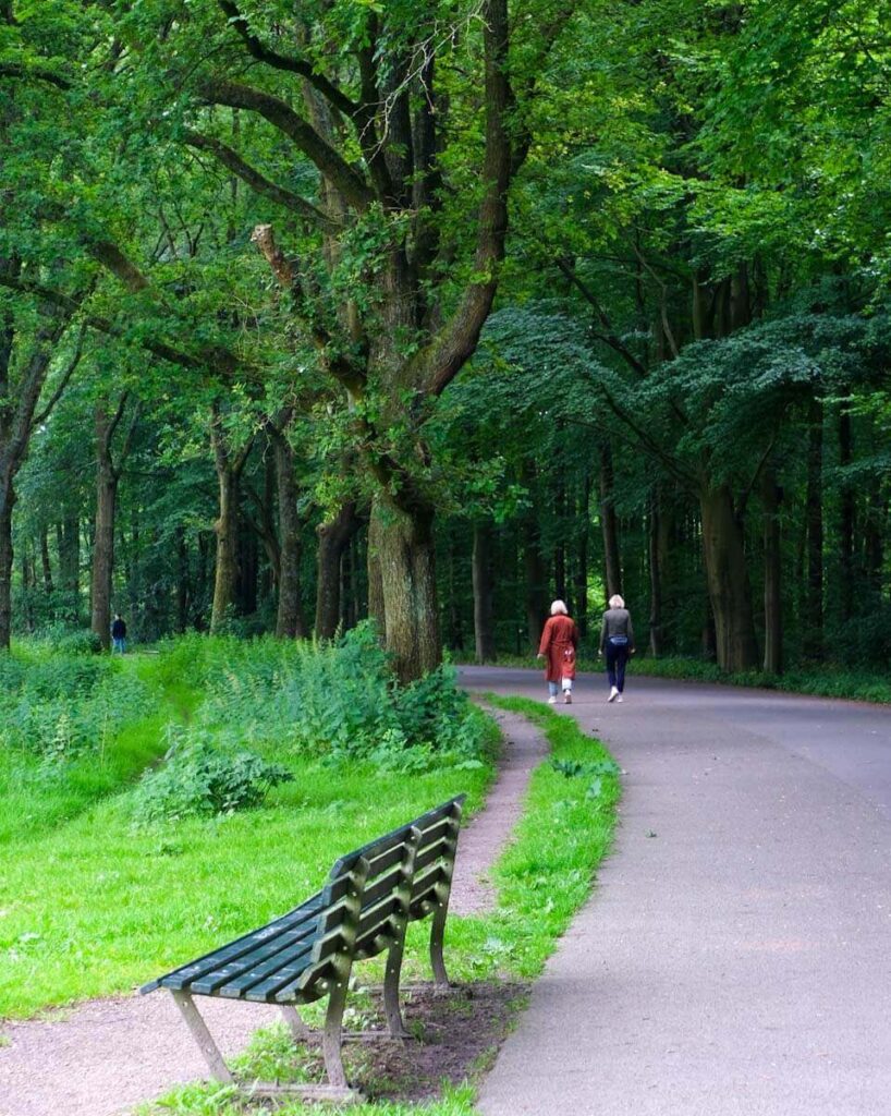 amsterdam forest people walking in park with a bench