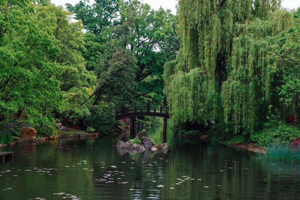 bridge with greenery all around it and a lake located at the Japanese Garden in Szczytnicki Park