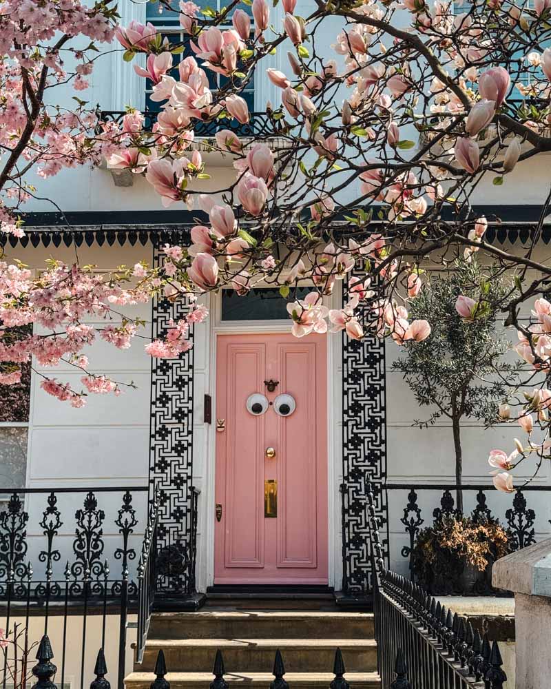 House with pink door and eyes with cherry blossoms in London