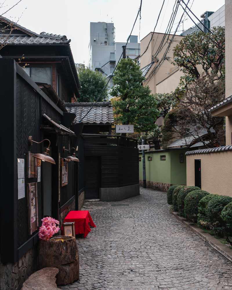 Kakurenbo Yokocho hidden gems in Tokyo