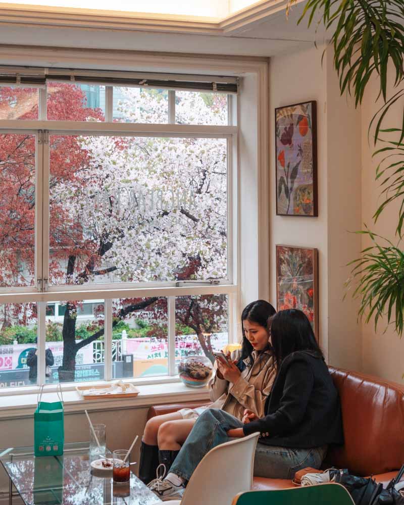 cafe with a cherry blossom view out the window in Yeonnam-dong