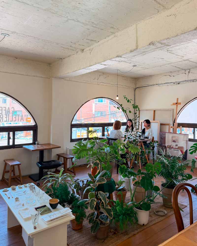 plant filled cafe in seoul called l’ Atelier Le Pli