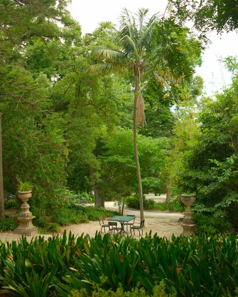 Park Necessidades beautiful parks in lisbon